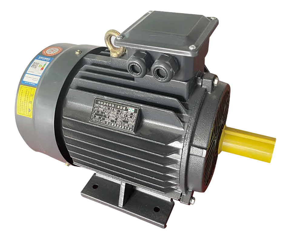 YE4 HIGH EFFICIENCY THREE PHASE ASYNCHRONOUS MOTOR